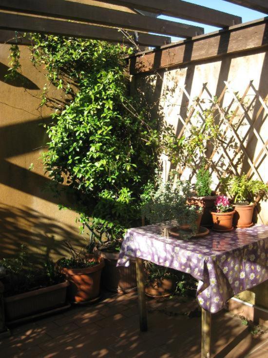 B&B "Angela " Piacenza Dış mekan fotoğraf